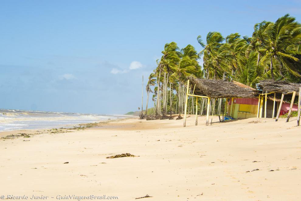 Imagem de um quiosque e ao fundos lindos coqueiros na Praia do Coqueiral.